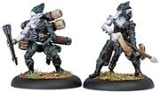Legion Of Everblight: Blighted Nyss Archer Officer & Ammo Porter (1 Officer & 1 Ammo Porter) - PIP+73030[Metal Blister Pack] [875582003998]